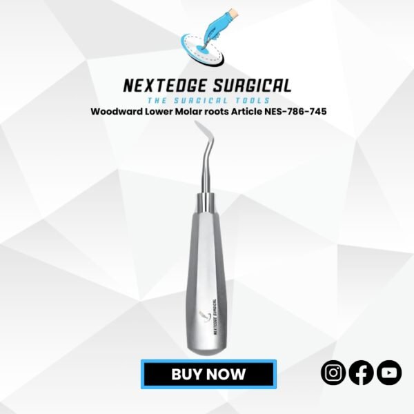 Woodward Lower Molar roots Article NES-786-745