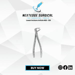 Lower Incisors Article NES -120