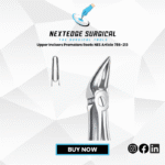 Upper Incisors Premolars Roots NES Article 786-213