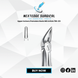Upper Incisors Premolars Roots NES Article 786-213