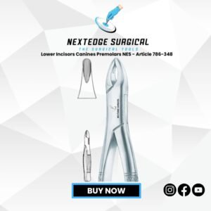 Lower Incisors Canines Premolars NES - Article 786-348