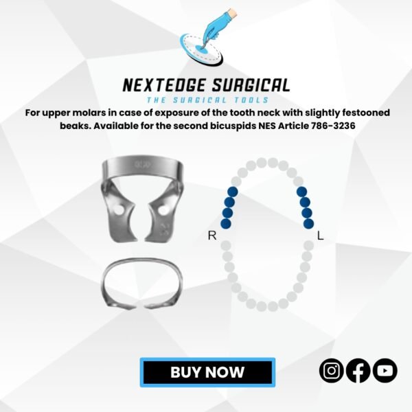 For upper molars in case of exposure of the tooth neck with slightly festooned beaks. Available for the second bicuspids NES Article 786-3236