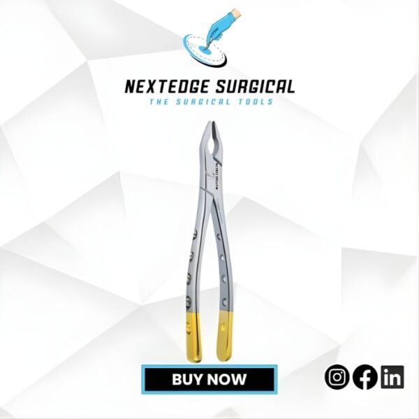 Upper Anterior Article NES-786-435