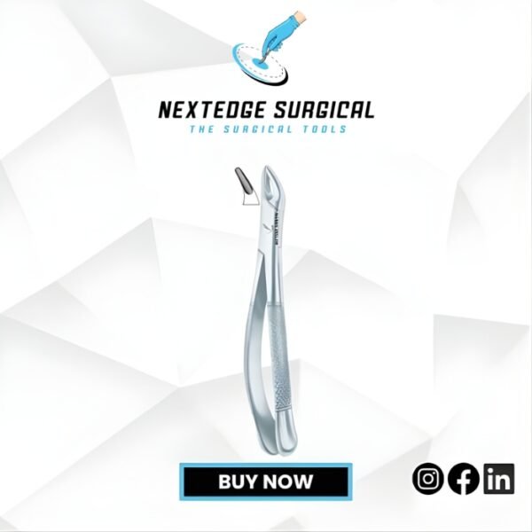 Cryer Upper Incisors Premolars Roots Article NES-786-338